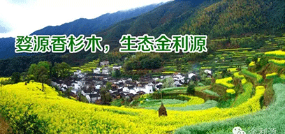 金利源板材/金品質(zhì) 源生態(tài).從源頭精挑細(xì)選，為品質(zhì)保駕護(hù)航——中國板材十大品牌品質(zhì)篇